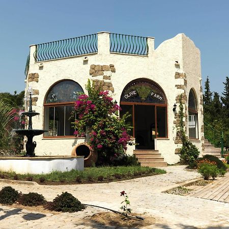 Olive Farm Of Datca Guesthouse (Adults Only) Exteriör bild