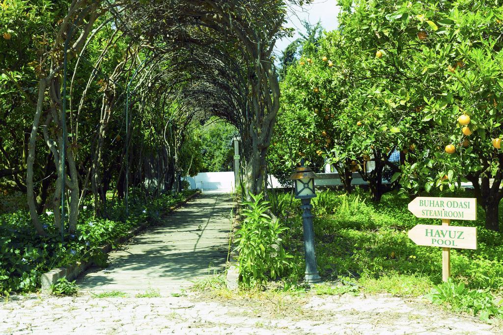 Olive Farm Of Datca Guesthouse (Adults Only) Exteriör bild