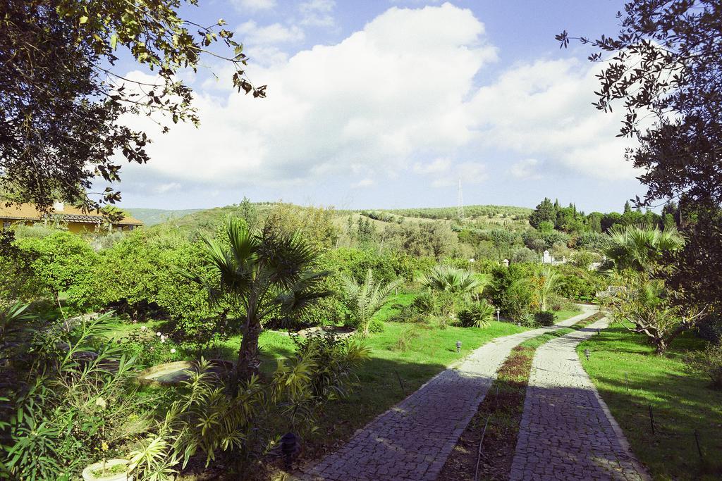 Olive Farm Of Datca Guesthouse (Adults Only) Exteriör bild