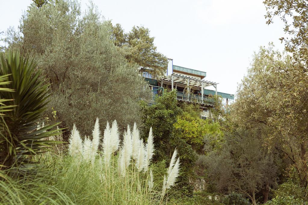 Olive Farm Of Datca Guesthouse (Adults Only) Exteriör bild