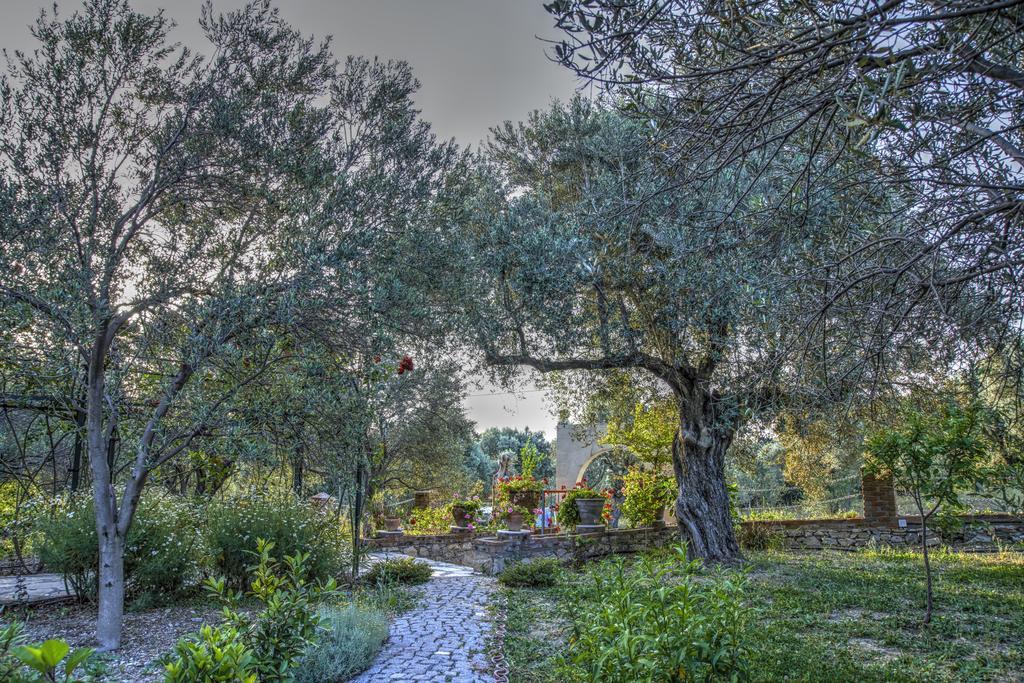 Olive Farm Of Datca Guesthouse (Adults Only) Exteriör bild