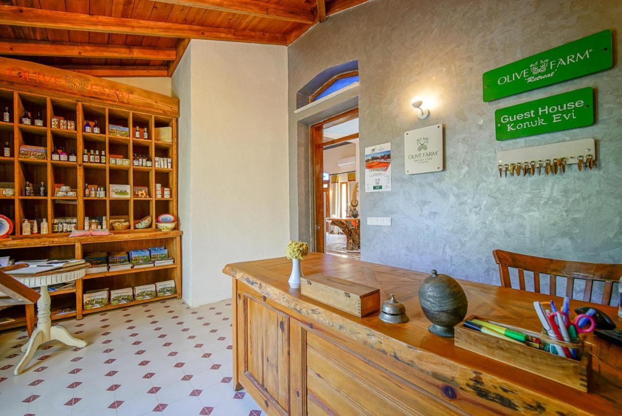 Olive Farm Of Datca Guesthouse (Adults Only) Exteriör bild