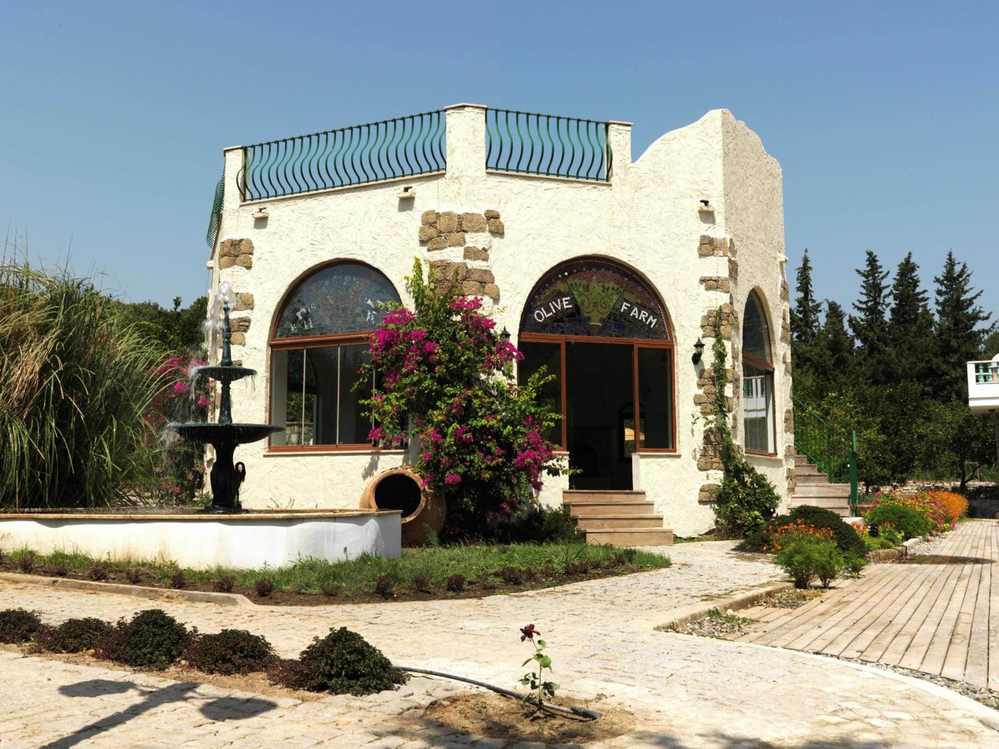 Olive Farm Of Datca Guesthouse (Adults Only) Exteriör bild