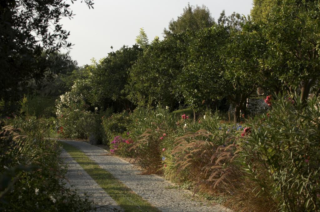 Olive Farm Of Datca Guesthouse (Adults Only) Exteriör bild