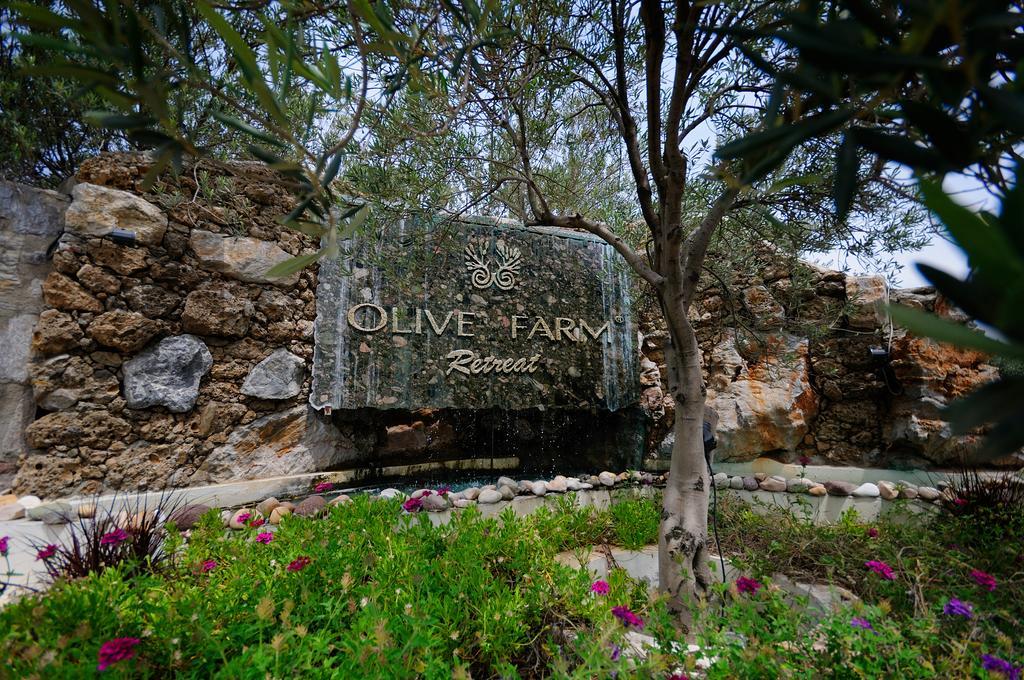 Olive Farm Of Datca Guesthouse (Adults Only) Exteriör bild