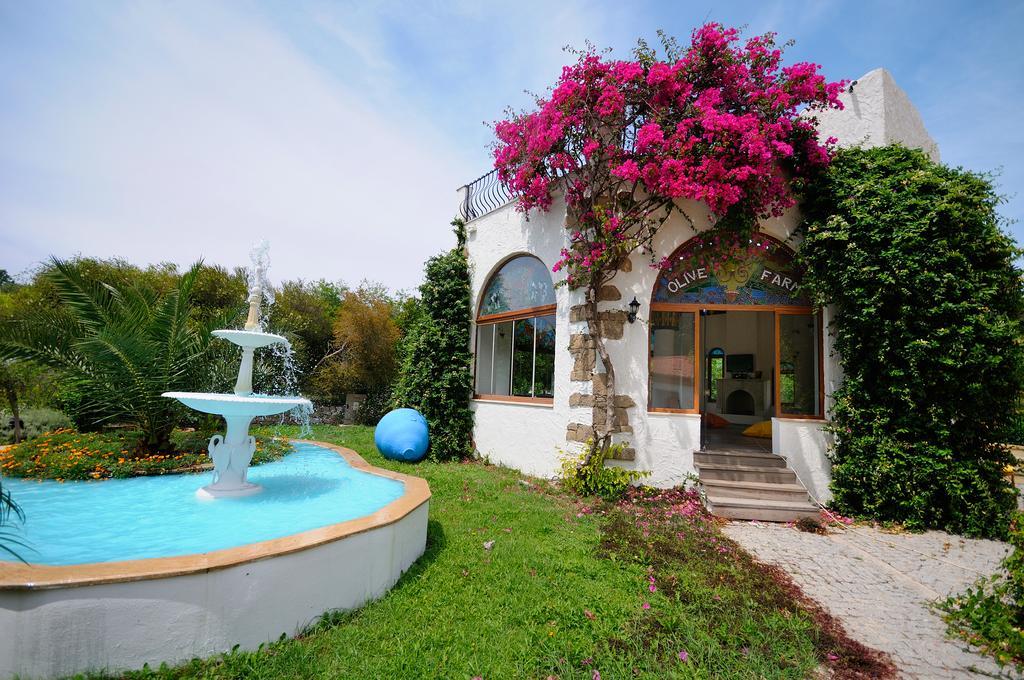 Olive Farm Of Datca Guesthouse (Adults Only) Exteriör bild