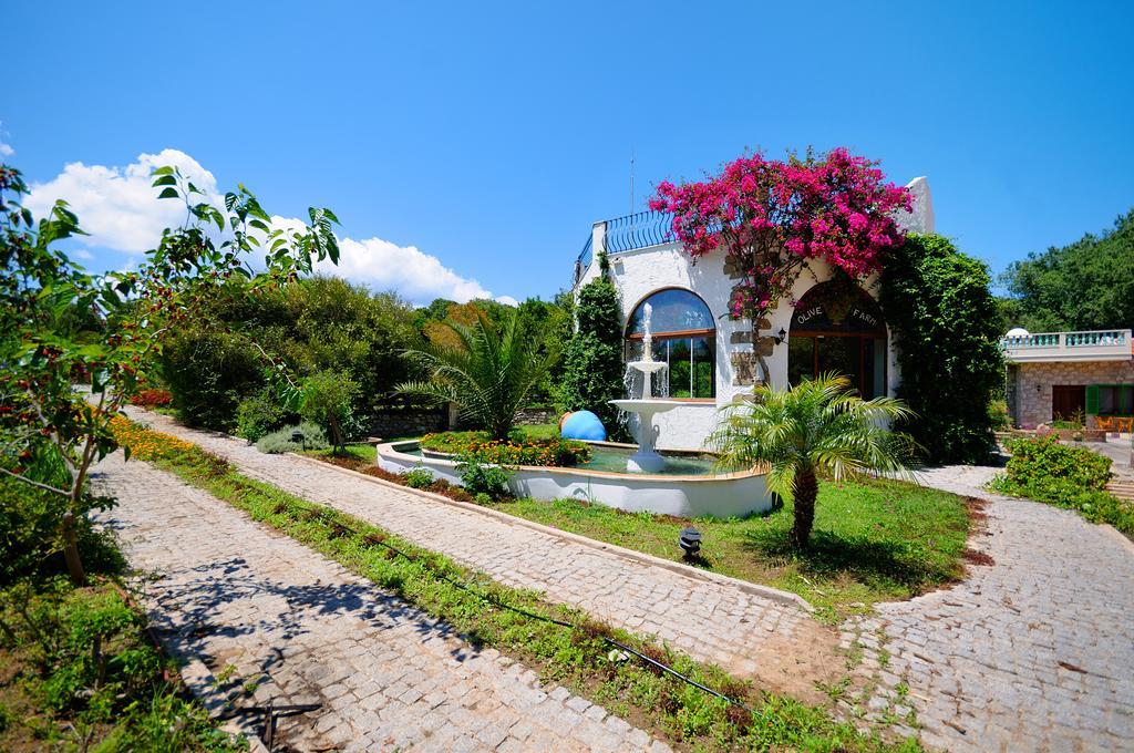 Olive Farm Of Datca Guesthouse (Adults Only) Exteriör bild