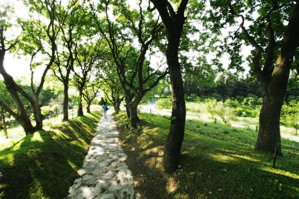 Olive Farm Of Datca Guesthouse (Adults Only) Exteriör bild