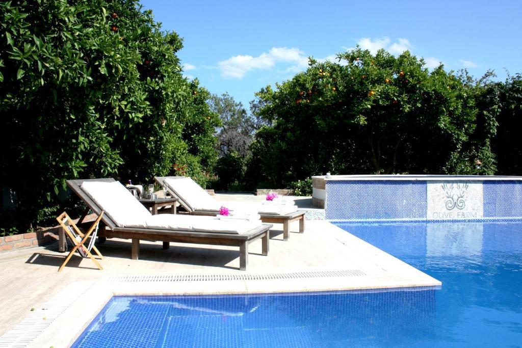Olive Farm Of Datca Guesthouse (Adults Only) Exteriör bild