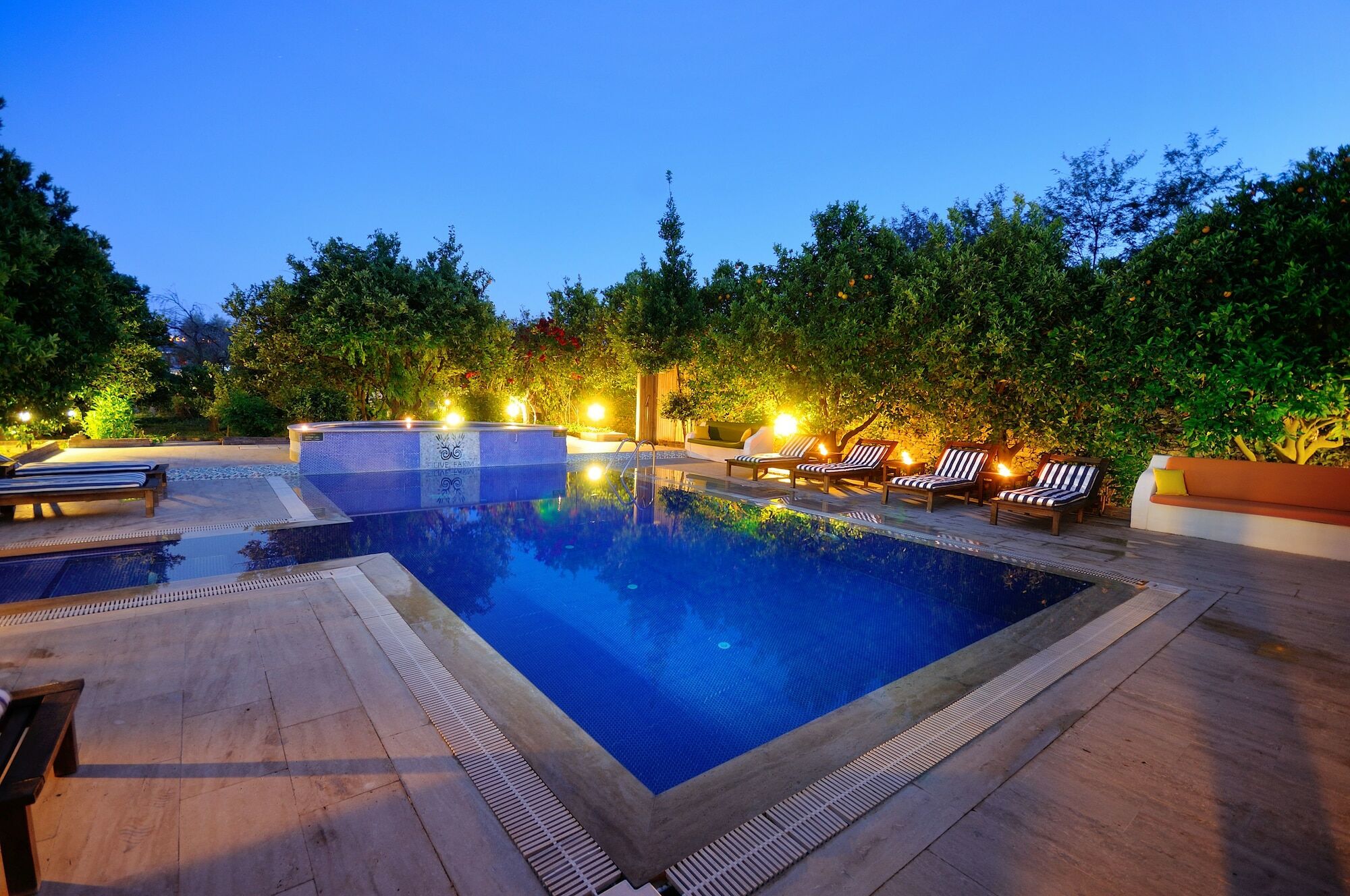Olive Farm Of Datca Guesthouse (Adults Only) Exteriör bild
